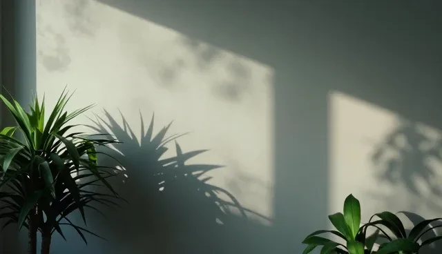 短视频拍摄设计规范中的应用场景选择与处理建议
